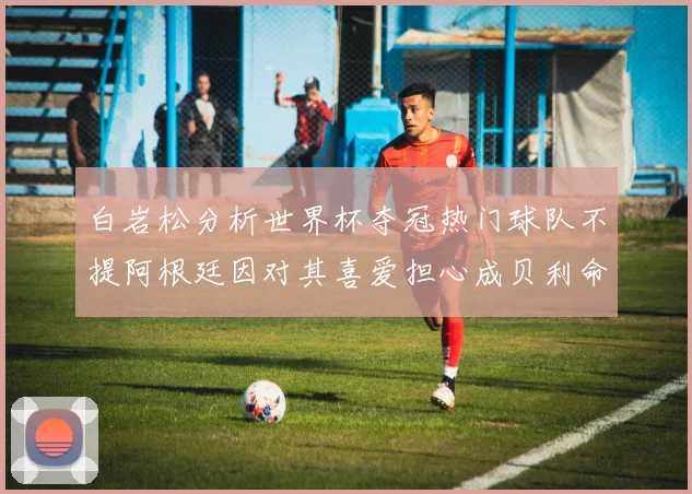 白岩松分析世界杯夺冠热门球队不提阿根廷因对其喜爱担心成贝利命运